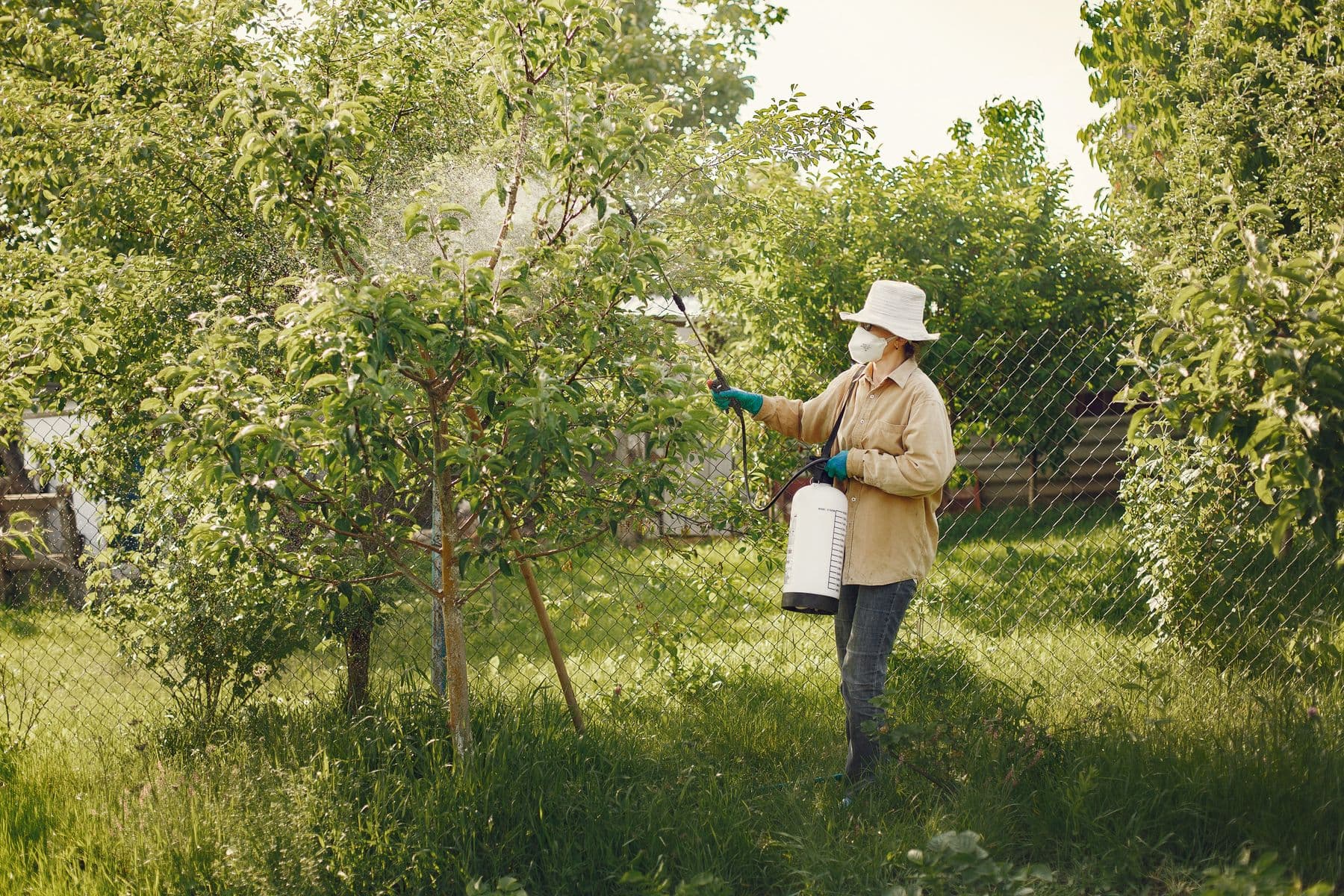 Treating the outside of a home
